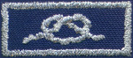 Award of Merit