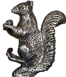 Silver Squirrel